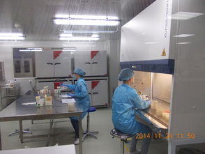 Intertek成功備案特殊食品驗證評價技術機構，助推行業高質量發展